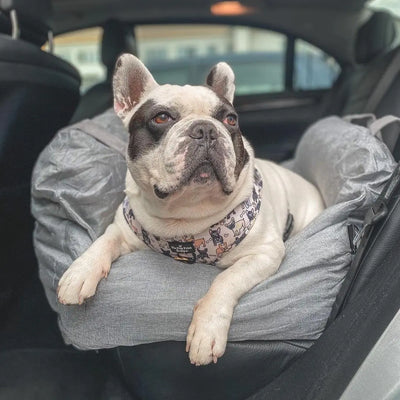 Pet Travel Bed